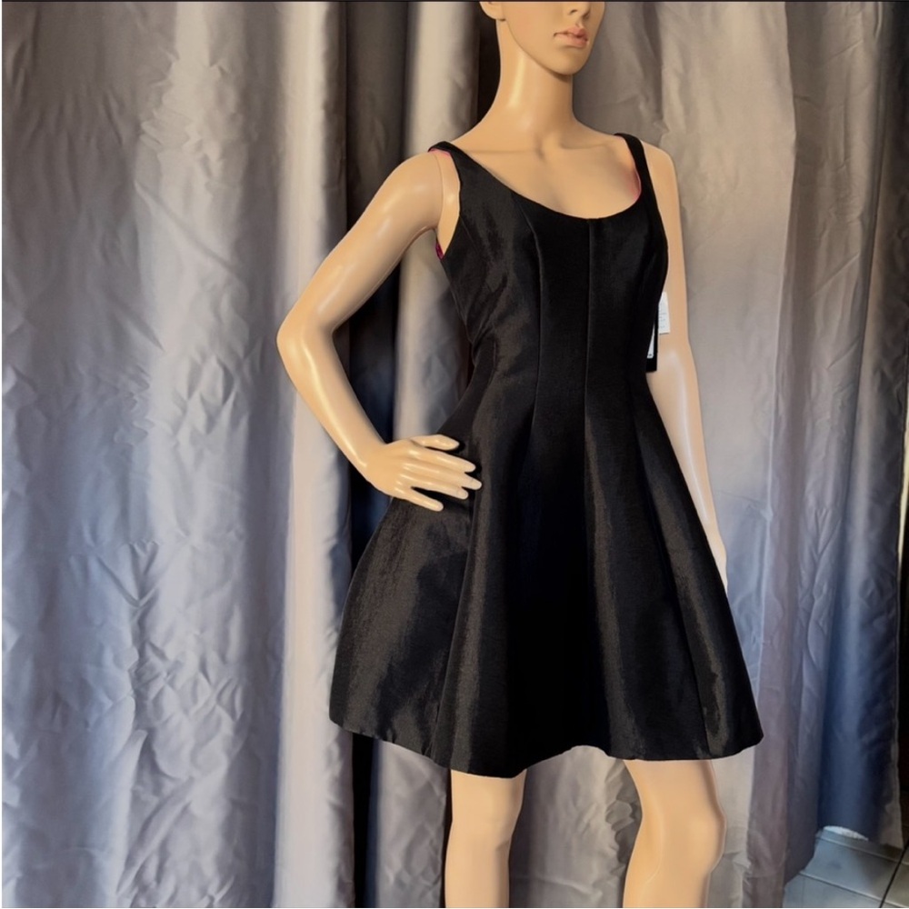 Betsy & Adam Black Sleeveless Fit and Flare Mini Dress
